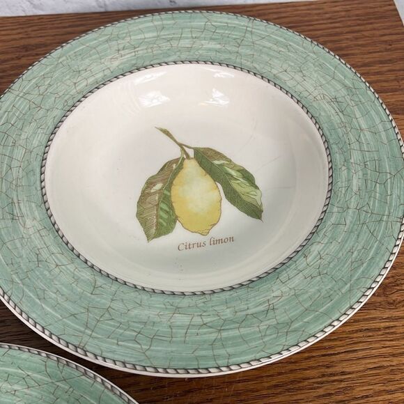 Set of 4 WEDGWOOD Sarah’s Garden Salad Plates Green Queen’s Ware ENGLAND 8 1/4" - Picture 3 of 7
